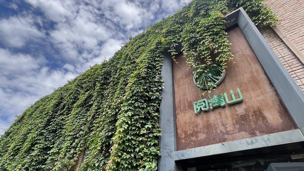 书店里的交响梦:田园交响少儿乐团正式落户阅青山书店