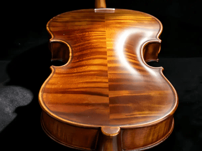 Student Violin (Beginner Basic)