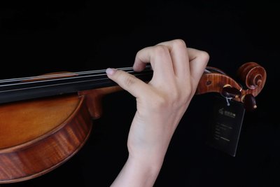Intermediate Fraction Violin Rental