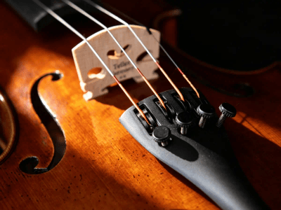 Expert-level High-End Fine Violin