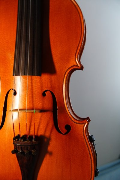 Advanced Violin Rental