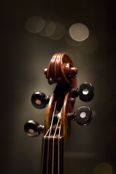 High-End Violin Rental