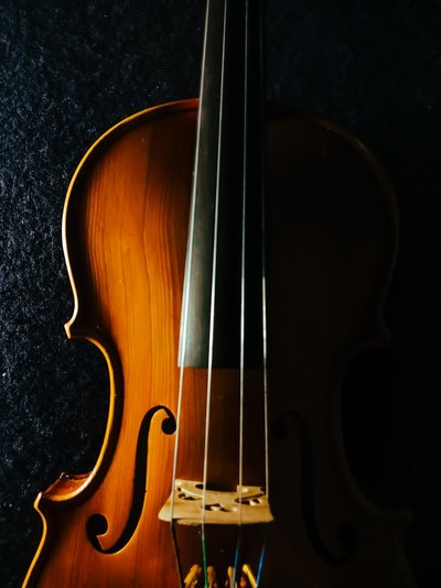 Double Bass Rental