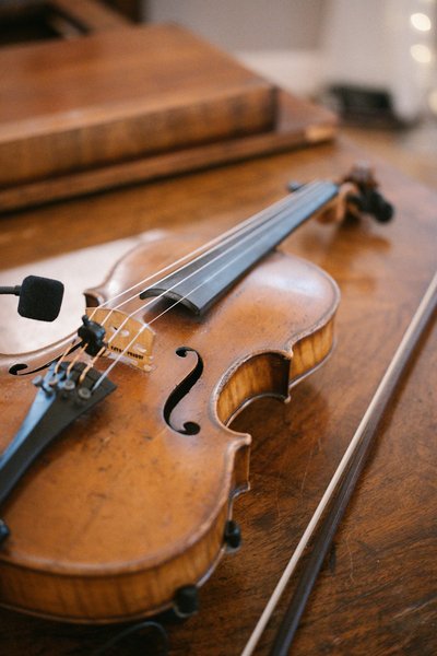 Master Series Violin Short-Term Rental